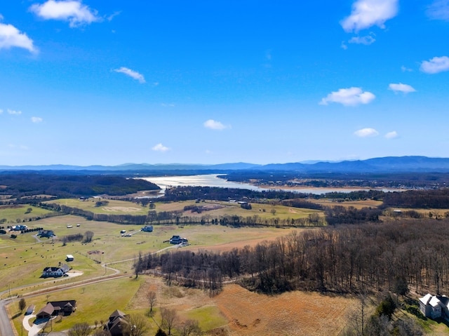 drone / aerial view with a rural view and a mountain view