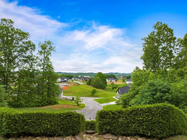 surrounding community with a lawn
