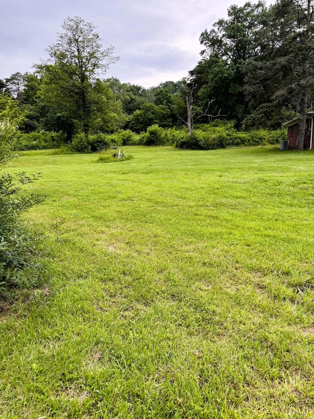 2262 Fernwood Church Rd, Morristown, TN 37813 - photo 6