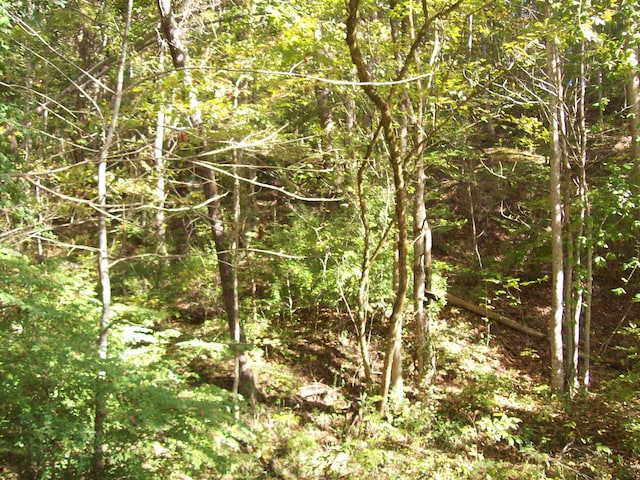 0 Beech St, Sneedville, TN 37869 - photo 3