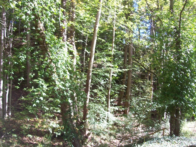 0 Beech St, Sneedville, TN 37869 - photo 2
