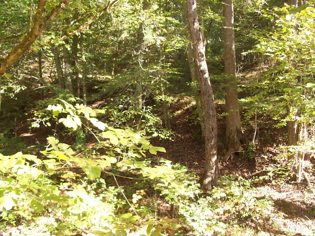 0 Beech St, Sneedville, TN 37869 - photo 4