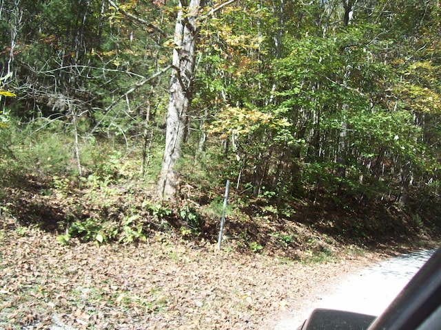 0 Beech St, Sneedville, TN 37869 - photo 7