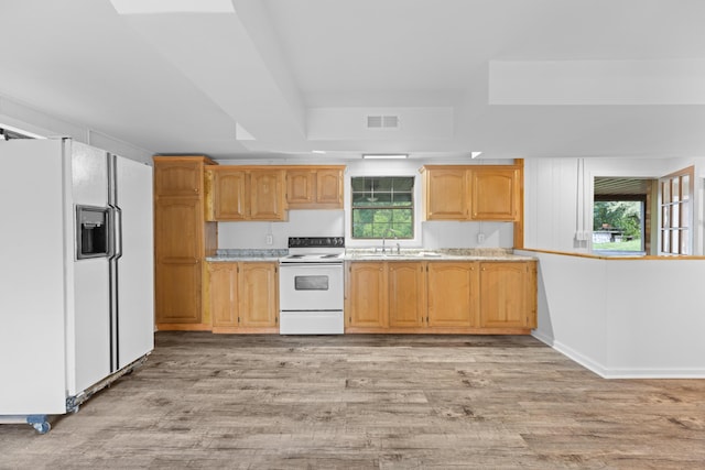 kitchen featuring white appliances, light hardwood / wood-style floors, plenty of natural light, and sink