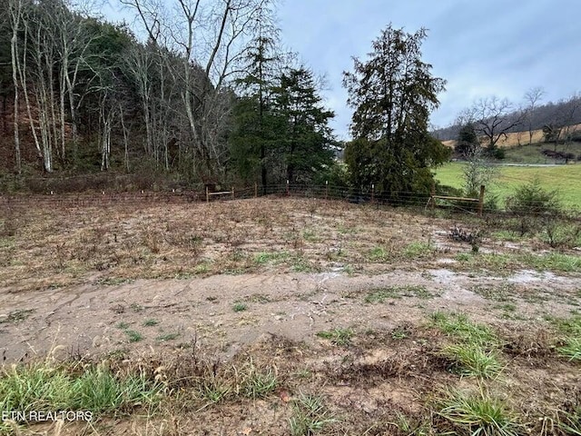 Listing photo 3 for TBD Trent Valley Rd, Sneedville TN 37869