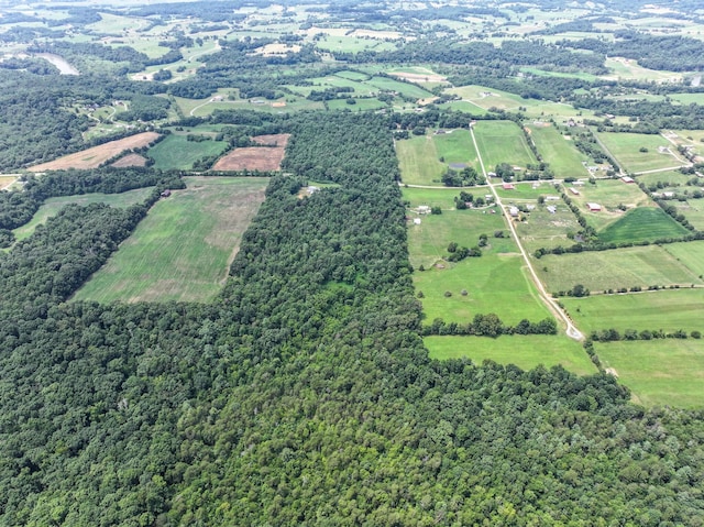 5875 107 Cutoff, Greeneville, TN 37743 - photo 35