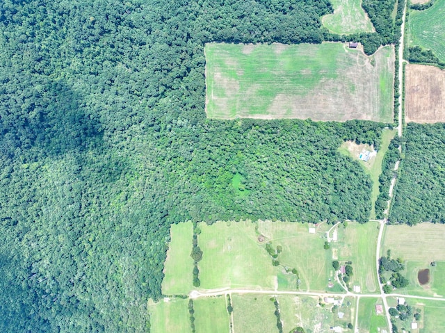 5875 107 Cutoff, Greeneville, TN 37743 - photo 42