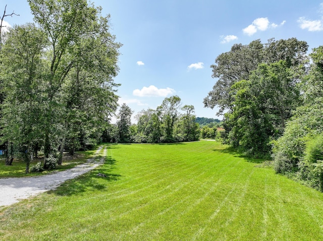 5875 107 Cutoff, Greeneville, TN 37743 - photo 34