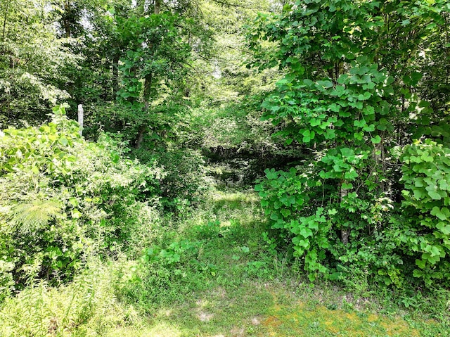 5875 107 Cutoff, Greeneville, TN 37743 - photo 38