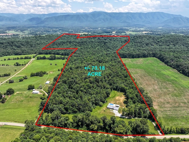 5875 107 Cutoff, Greeneville, TN 37743 - photo 3