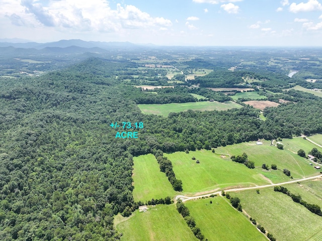 5875 107 Cutoff, Greeneville, TN 37743 - photo 39