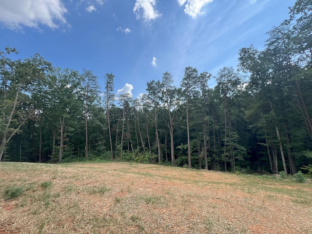 581 Bayside Blvd, Bean Station, TN 37708 - photo 46