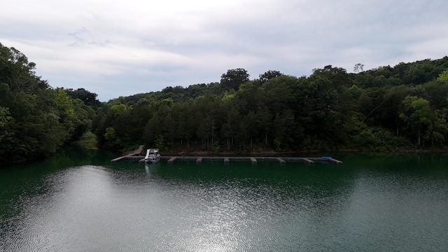 581 Bayside Blvd, Bean Station, TN 37708 - photo 51