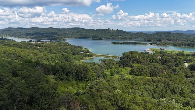 581 Bayside Blvd, Bean Station, TN 37708 - photo 54