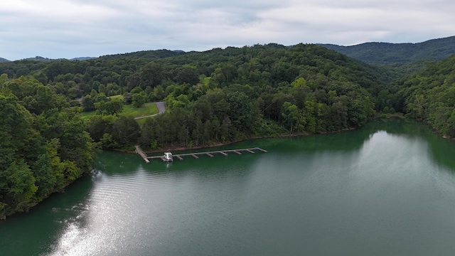 581 Bayside Blvd, Bean Station, TN 37708 - photo 50