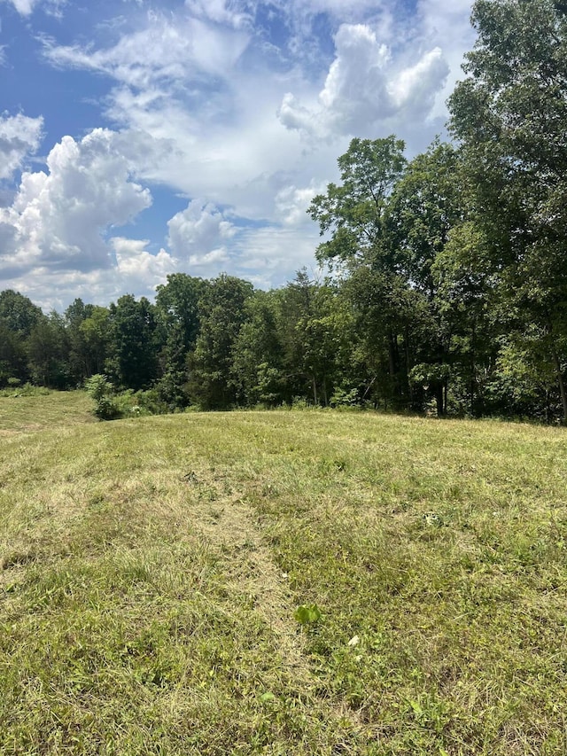 NA Phillips Town Rd, Bulls Gap, TN 37711 - photo 6
