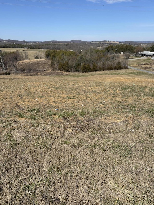 NA Phillips Town Rd, Bulls Gap TN, 37711 land for sale