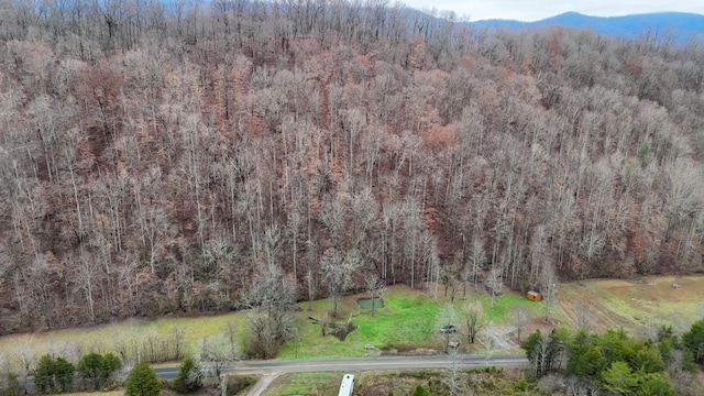 Listing photo 3 for 2500 Lower Rinehart Rd, Dandridge TN 37725