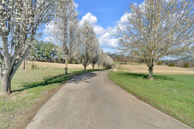 view of road featuring a rural view