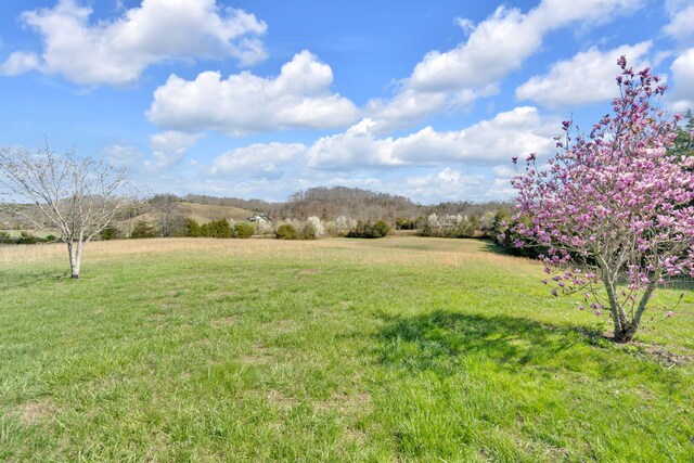 view of yard featuring a rural view