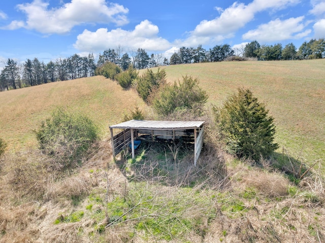 view of yard with a rural view