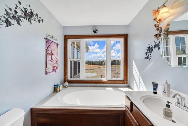 bathroom with vanity, toilet, and a tub