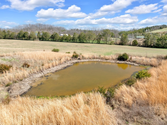 view of local wilderness featuring a water view