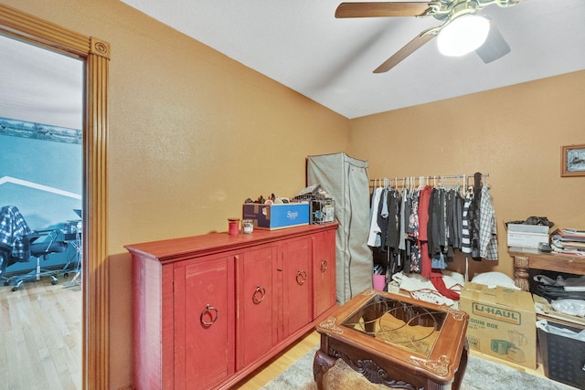 spacious closet featuring light hardwood / wood-style flooring