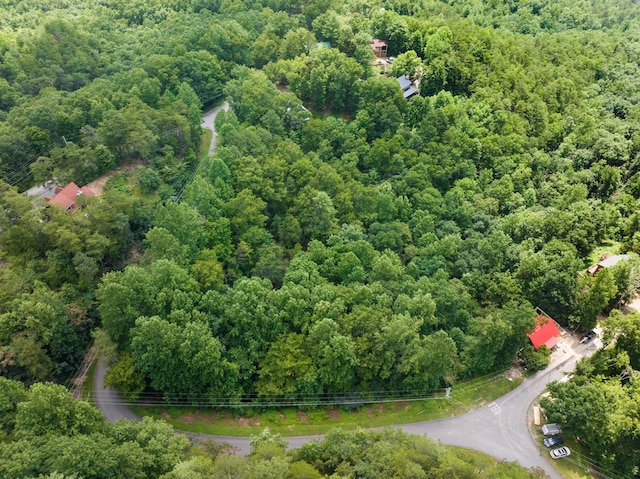 1005 Laurel Rd, Townsend, TN 37882 - photo 13