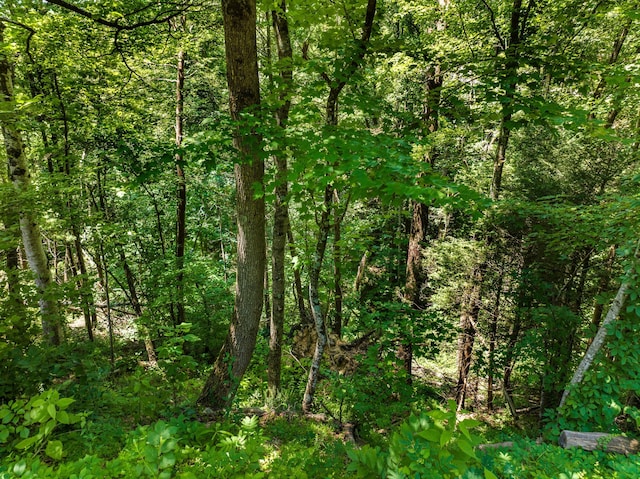 1005 Laurel Rd, Townsend, TN 37882 - photo 17