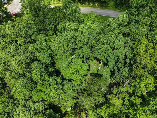 1005 Laurel Rd, Townsend, TN 37882 - photo 10