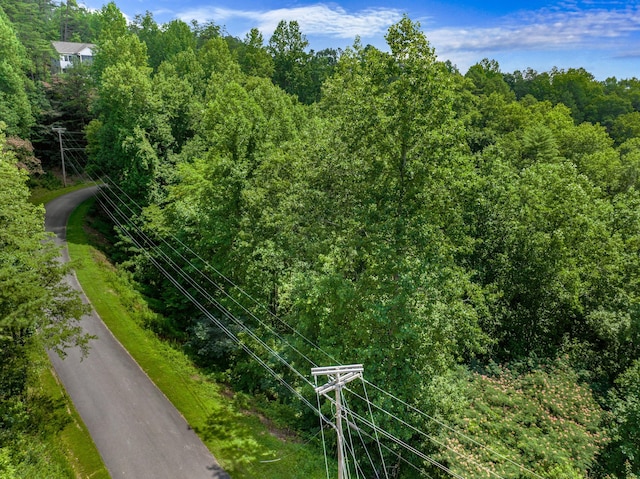 1005 Laurel Rd, Townsend, TN 37882 - photo 12
