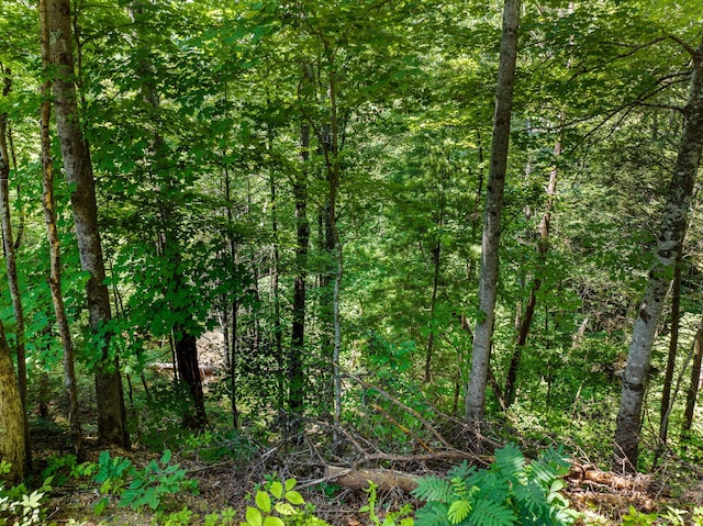 1005 Laurel Rd, Townsend, TN 37882 - photo 18