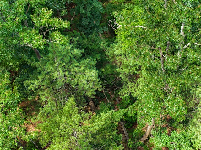 1005 Laurel Rd, Townsend, TN 37882 - photo 9
