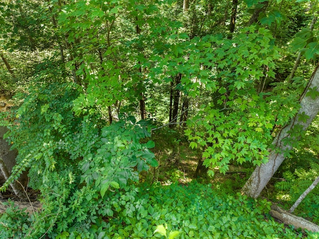 1005 Laurel Rd, Townsend, TN 37882 - photo 16
