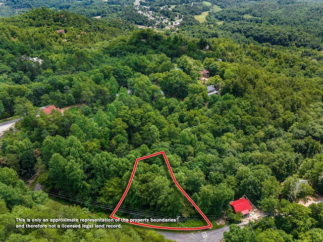 1005 Laurel Rd, Townsend, TN 37882 - photo 3