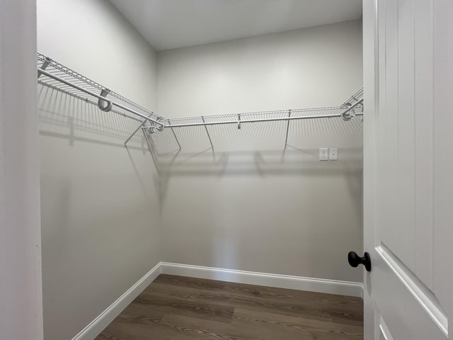 536 Sequoyah Dr, Morristown, TN 37813 - walk in closet featuring dark wood-style flooring