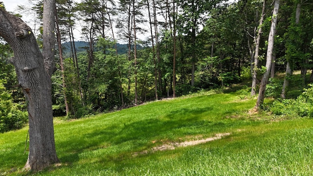 536 Sequoyah Dr, Morristown, TN 37813 - view of green lawn