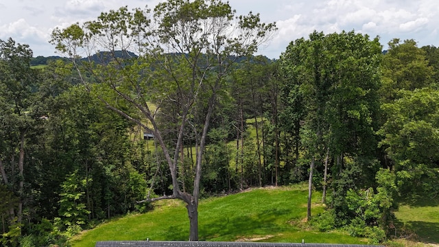 536 Sequoyah Dr, Morristown, TN 37813 - view of green lawn with a wooded view