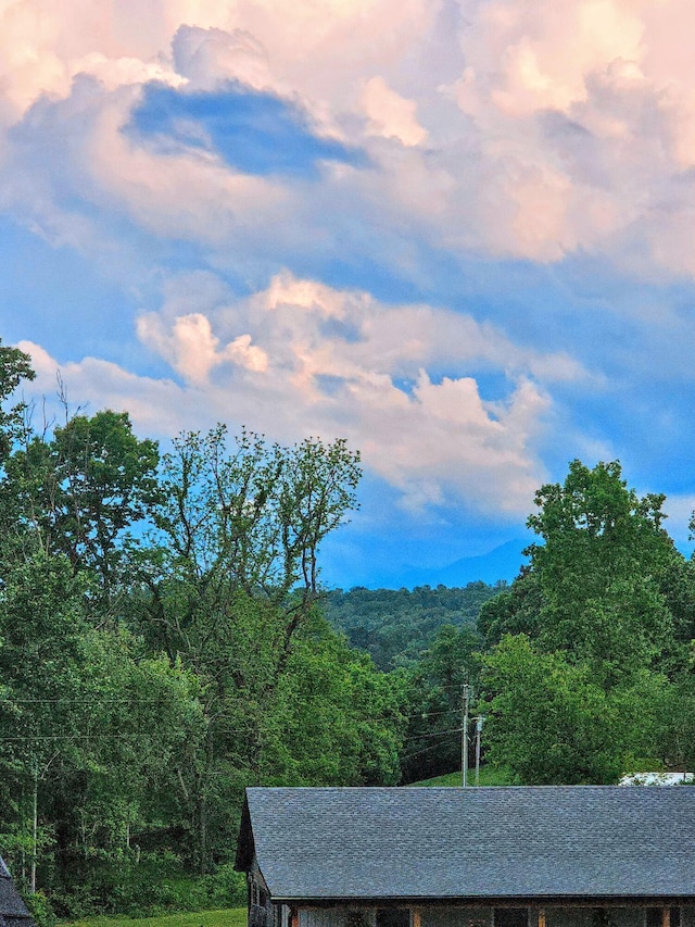 269 Buttercup Fields Rd, Newport, TN 37821 - mountain view featuring a heavily wooded area