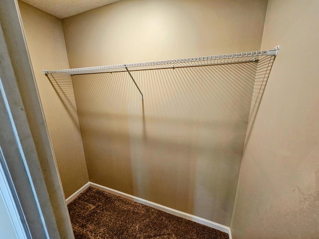 269 Buttercup Fields Rd, Newport, TN 37821 - walk in closet featuring carpet flooring