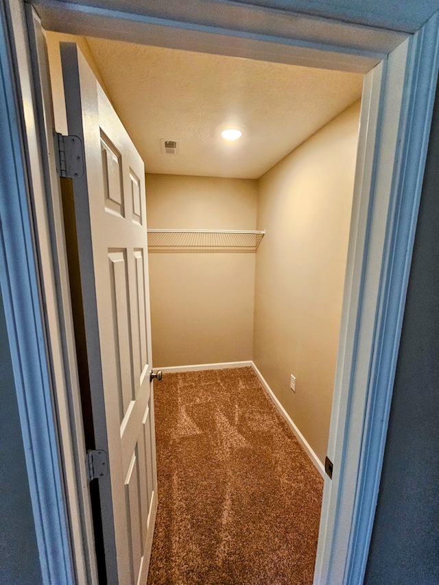 269 Buttercup Fields Rd, Newport, TN 37821 - walk in closet featuring carpet flooring