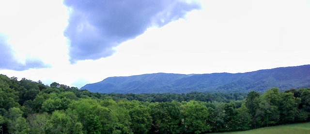 269 Buttercup Fields Rd, Newport, TN 37821 - mountain view featuring a forest