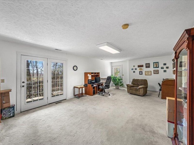 702 John Sevier Dr, Sevierville, TN 37876 - carpeted home office with visible vents, a wealth of natural light, and a textured ceiling