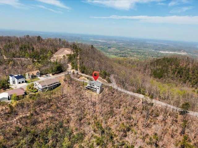 702 John Sevier Dr, Sevierville, TN 37876 - drone / aerial view with a view of trees