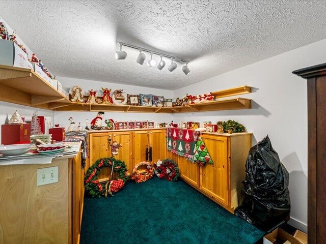 702 John Sevier Dr, Sevierville, TN 37876 - view of storage
