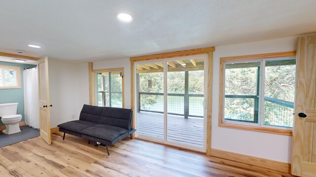 sitting room featuring light hardwood / wood-style flooring and plenty of natural light