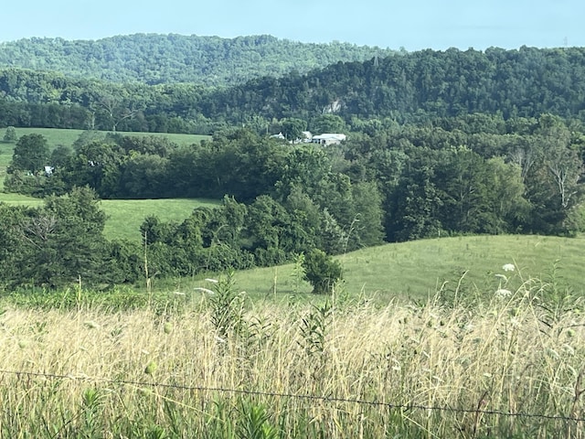 378-A Rocky Top Rd, Newport, TN 37821