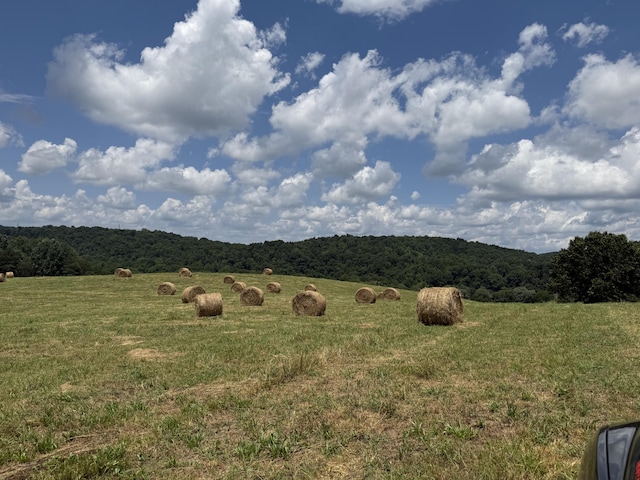 378-A Rocky Top Rd, Newport, TN 37821