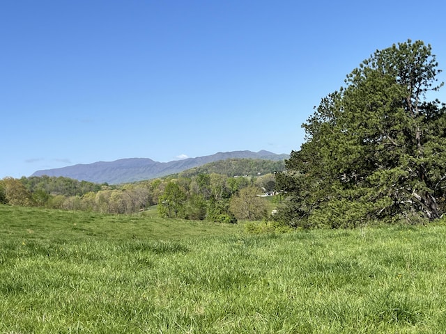 378-A Rocky Top Rd, Newport, TN 37821